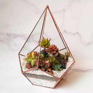 listing gallery item