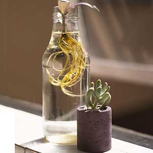 listing gallery item