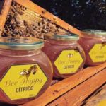 bee happy chile miel directorio sustentable