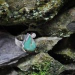 biwa rocca colombia joyeria directorio sustentable