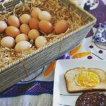 rancho organico maria huevos alimentacion directorio sustentable