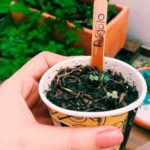 cultivando vida huertas organicas colombia talleres directorio sustentable